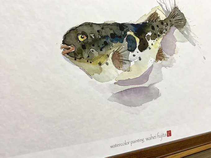 とらふぐ。ジークレープリント。間も無く販売開始^ ^#Watercolor #スケッチ #水彩画 #淡彩略画 #生徒募集 #透明水彩 #京都水彩画塾  #水彩画ワークショップ  #水彩画教室  #京都の絵画教室  #水彩画のある暮らし 