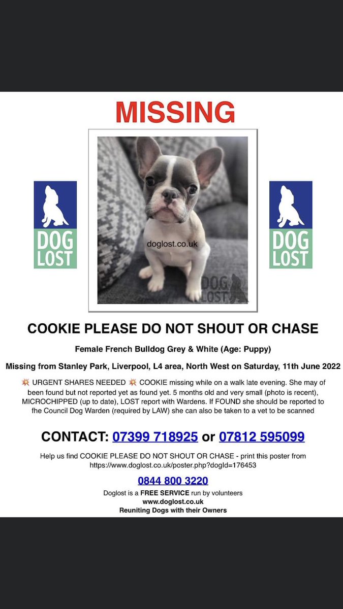 RachaelB100's tweet image. ❗️Urgent Shares/Tweets Needed❗️

COOKIE #Missing on walk 
#FrenchBulldog  
#StanleyPark #Liverpool #L4 11th June 2022
#Chipped 
❗️Do Not Shout or Chase! Report if sighted❗️

doglost.co.uk/dog-blog.php?d…

facebook.com/groups/5680637…