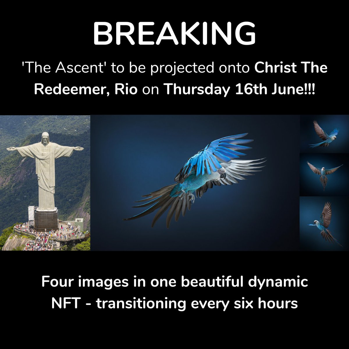 UNEXTINCT tweet media