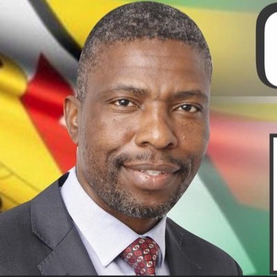 stanmanguma's tweet photo. There is this imposter in parliament can ZEC explain to the citizens why this thing is in parliament. https://t.co/K3TxOIjEIw