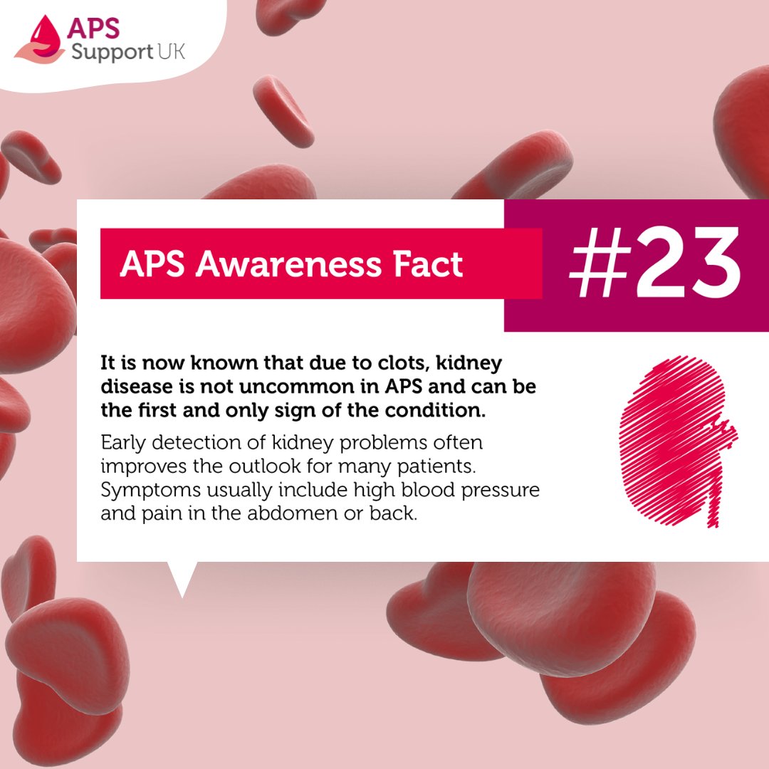 APSsupportUK's tweet photo. It is now known that due to clots, #kidneydisease is not uncommon in #APS & can be the first & only sign of the condition. Early detection of kidney problems often improves the outlook of patients.
Find out more: https://t.co/Q7OZKlmcAB
#APSMatters #APSAM22 #APSAwarenessMonth https://t.co/g2VCvovjfV