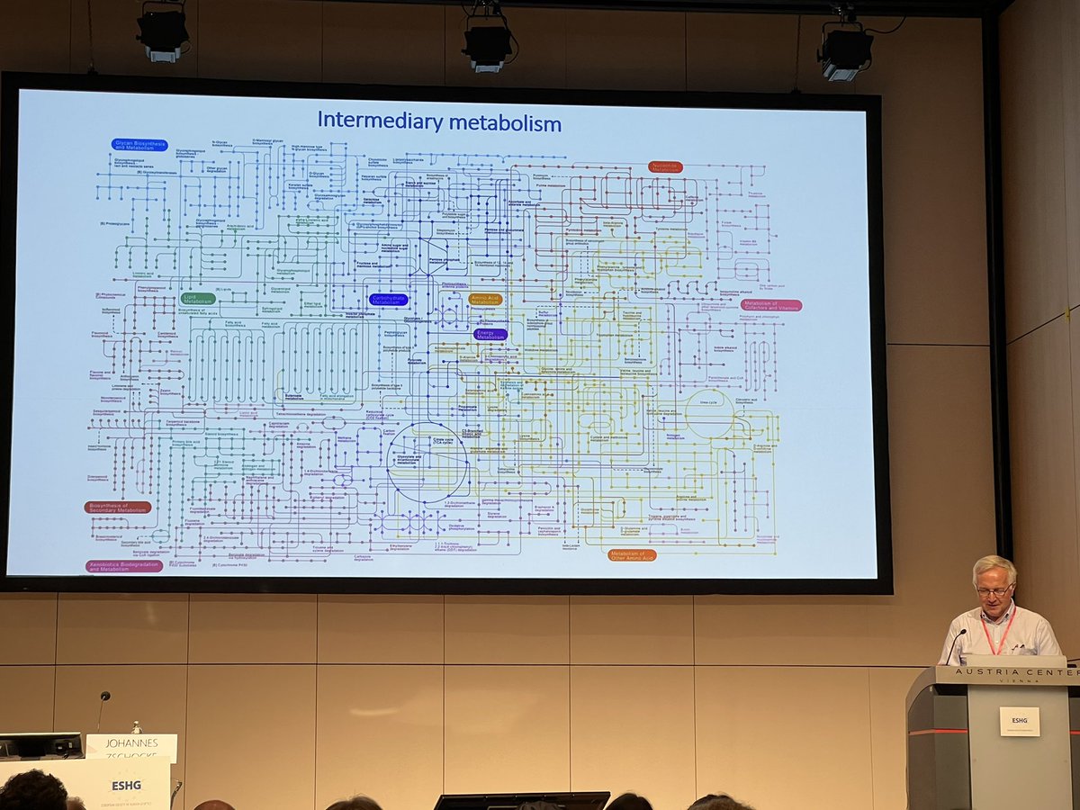 That’s a simplified depiction of the human metabolism. Please, stop measuring single metabolites or enzymes in studies. #ESHG2022 Emile van Schaftingen