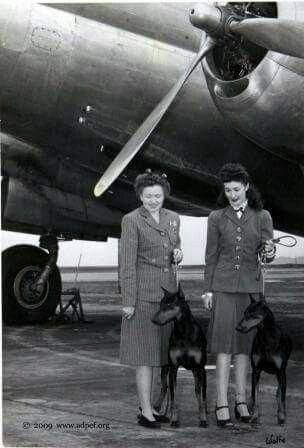 vetswithpets00's tweet photo. #WomenVeteransDay Celebrates Strength, Sacrifice of #ServiceMembers
#FemaleVets are gritty. Trailblazers by instinct. Humble about their hard-earned accomplishments. Proud to help make it a little bit easier for #women who have yet to serve.
#military https://t.co/qhZoWgETvT https://t.co/gO1mjuIYUp