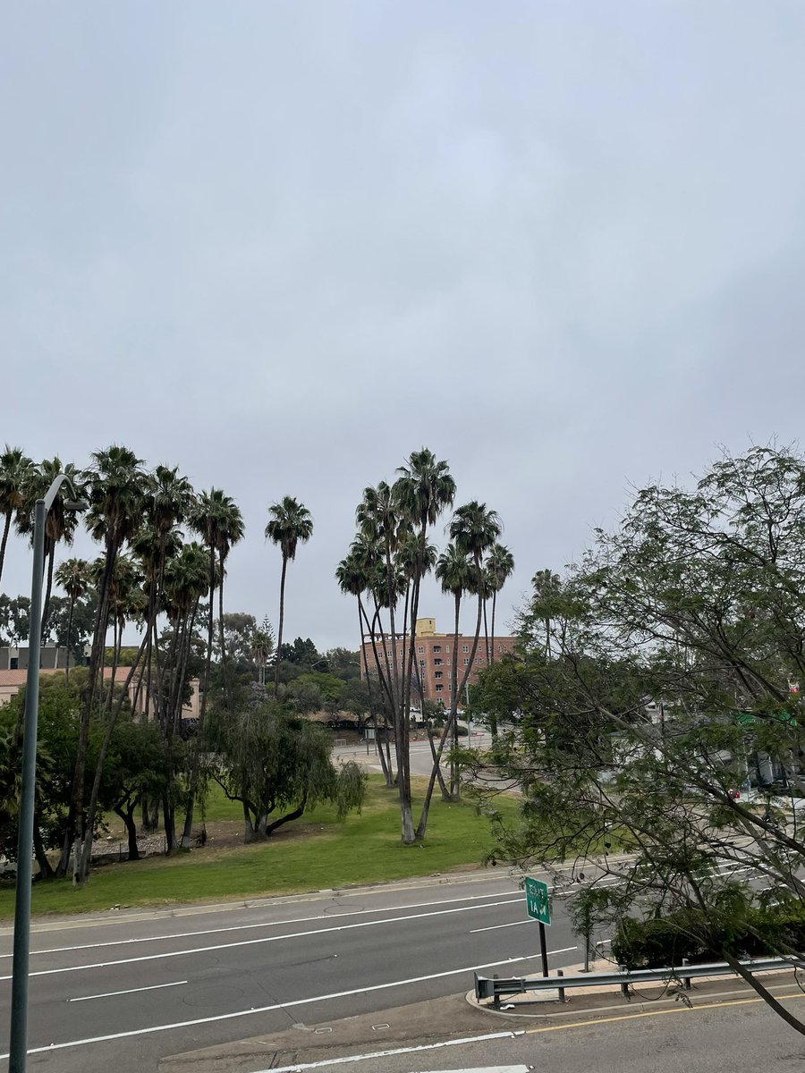 CoachHop's tweet photo. βοΈποΈππΌββοΈ #SundayMorningWeights #SundayMorningRun #AnotherOne #SundayFunday #sandiego #downtown #CoffeeTime βοΈπ https://t.co/Ir0Uf6ceYI