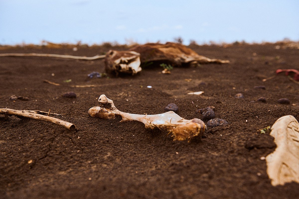 cyancolormam's tweet photo. We are killing our self  slowly #yes #UNOP #ClimateCrisis #Africa #Sudan #News_Week #daily #UNDP #USAID #Kordofan https://t.co/Wl9kOTwsiB
