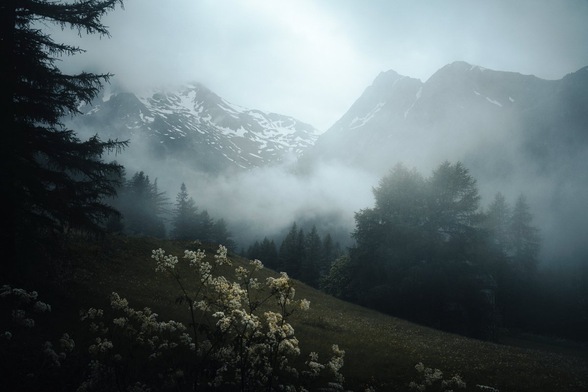 Vuelvo tras 10 días en los #Alpes occidentales. No defraudan en absoluto, pese a la industrialización extrema de alguno de sus valles. Tanto el Ibex Alpino como el Gallo Lira se dejaron ver en alguna de mis travesías por estas montañas.