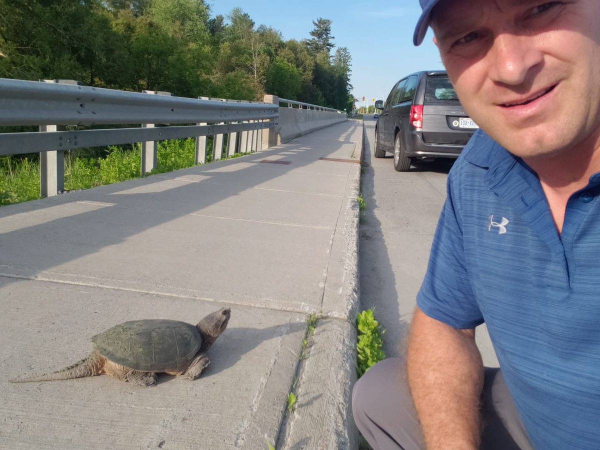 DavidHillWard3's tweet photo. Should we give him a name? #barrhaven #nepean #halfmoonbay #stonebridge #jockriver https://t.co/csDW1Mt83O