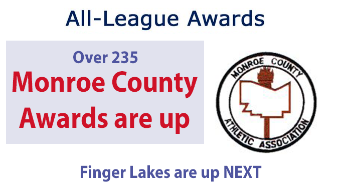 It's that time of the year.... We start to catch up of the various year end awards. All Three Monroe County Divisions are up on BLaxFive.NET. Next up Finger Lakes