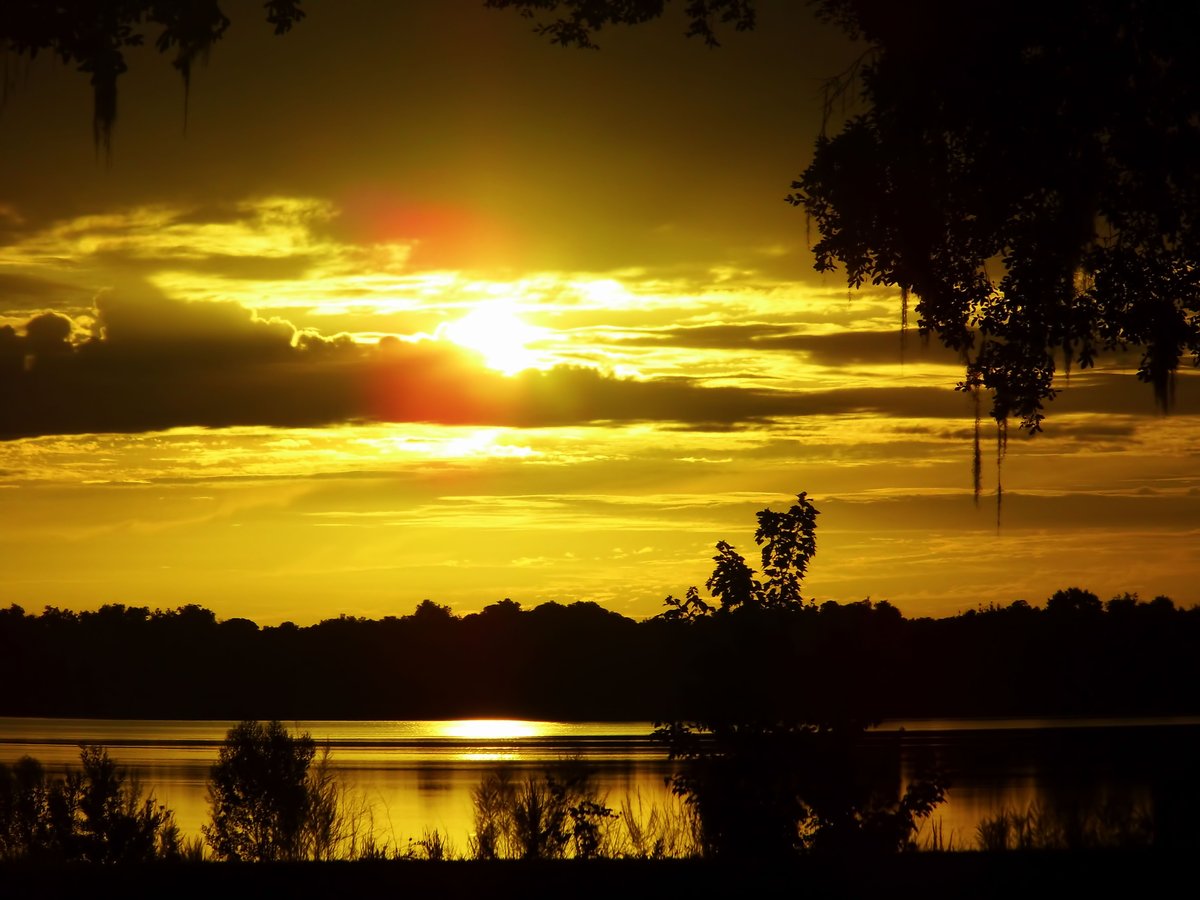 dhackett4150's tweet photo. A brilliant #sunrise rising above the trees and #reflecting on Lake Weir https://t.co/aTFRDUTmcv https://t.co/bfk7a89Yik
