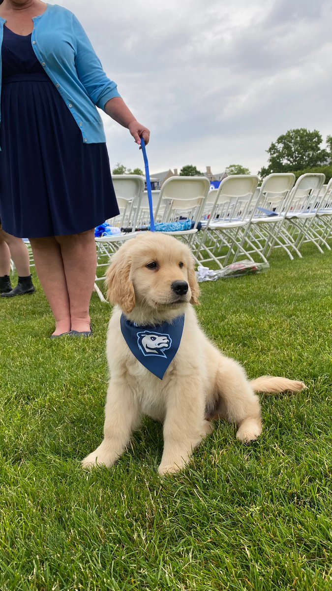 ConnCollege's tweet photo. Leave a π below for the Class of 2020! #ConnColl2020 #MyCamelGrad https://t.co/ge2H6F4ZMH