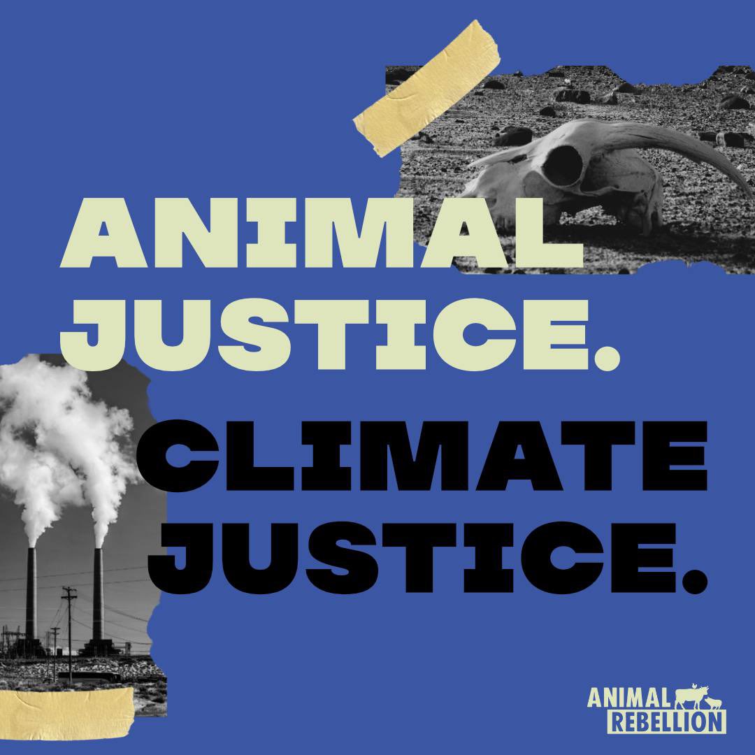 If you would like to help disrupt one of the most morally and environmentally corrupt industries, the dairy industry, this September, come along to our next #StopTheSupply talk on Thursday. 

Register 👉 us02web.zoom.us/meeting/regist…