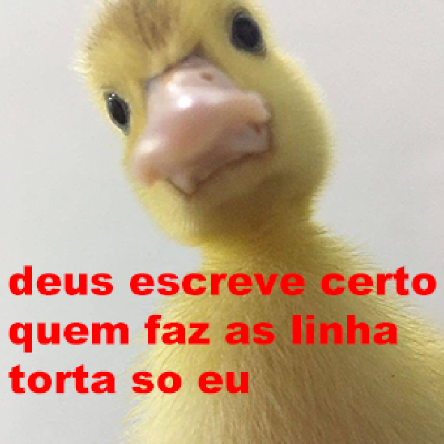 raic (@rycardoantunes) on Twitter photo 