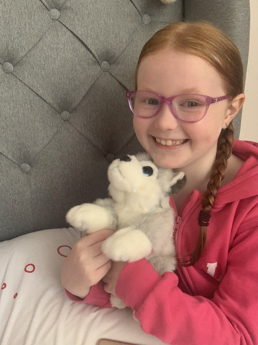 wifeysaurus tweet media