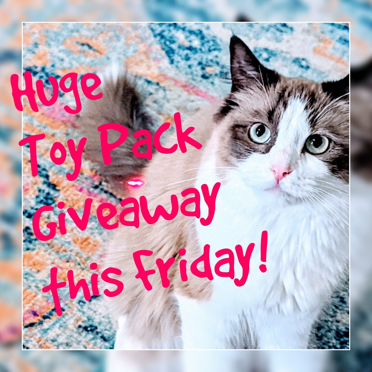 FluffyRagdolls's tweet photo. Free Toy Pack Giveaway this Friday! In order to win-
1-Follow us
2-Sub our YouTube https://t.co/MUtRKzd3Di
3-Comment Below
HuGe 32 piece cat toy pack goes to one lucky winner!(Must be in US) GOOD LUCK #CatsOfTwitter
#catcontest #ragdollsoftwitter #cats https://t.co/pkCJZrmzbf