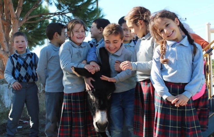 FeritOkulu's tweet photo. Bazı meslekler sizin enerjinizi alır, yorar ve yıpratır. Fakat öğretmenlik gün içerisinde bir kez dahi olsa mutlaka gülümsetir , kalbinize dokunur , sizi çocuk yapar . Biliriz ki 21 . YY da çocuk kalabilmek onemli bir meziyettir .@seyfullah0966 @yapiciserafetin @cengizaydin36 https://t.co/igQYmp6wdB