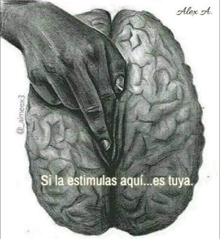 aglb66's tweet photo. Como para besarte ese cerebro... 🥰 #LatinLoverExpert https://t.co/wWLQ33CumA