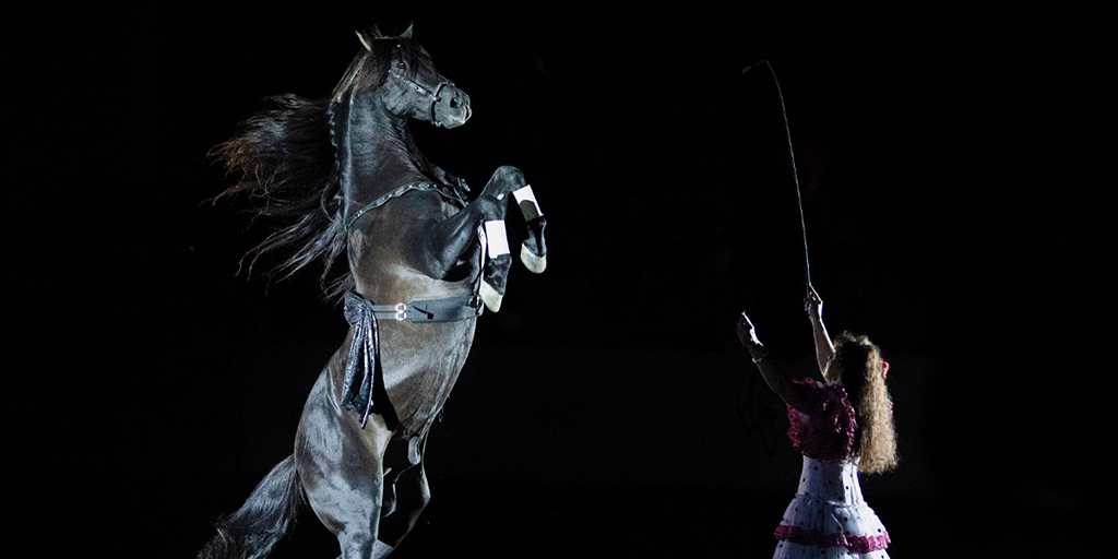 The Toy Insider on Twitter "RT breyerhorses 🌟 BreyerFest is proud to