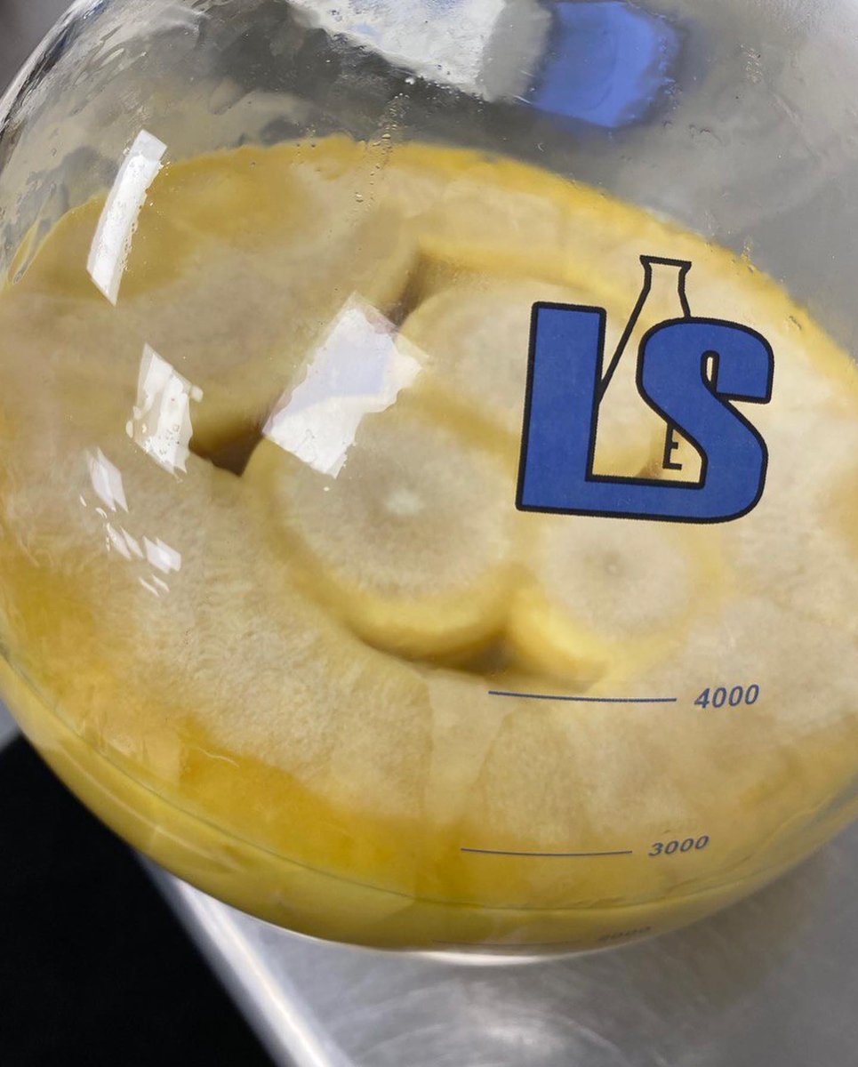 Lab Society tweet media