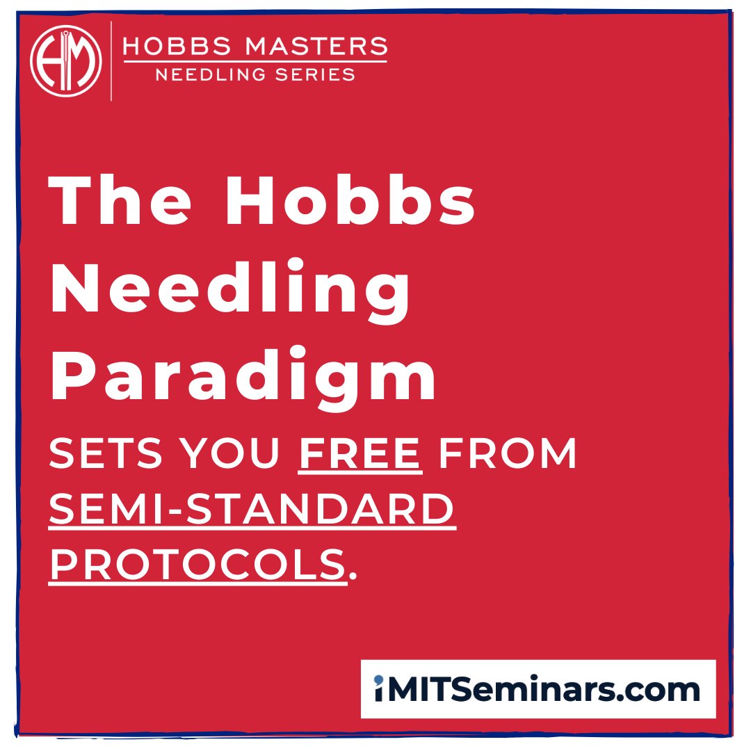 iM.IT Seminars tweet media