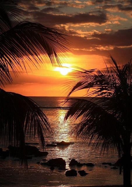 Angel_InTheSoul's tweet photo. #amazing_sunset 🧡🧡🧡 https://t.co/JycOgENt77