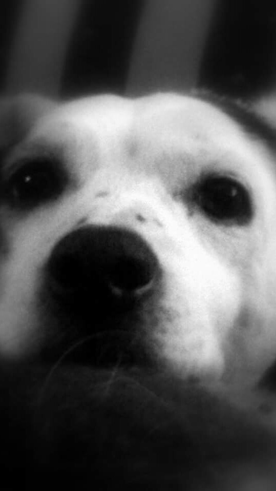 Notorious tweet media