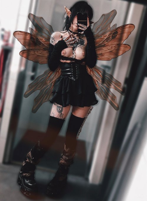 fairy__dreams