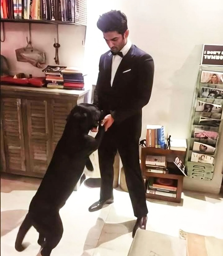 sushsparkel's tweet photo. We are not goona give up whatever it costs!!!!!
We want fair justice for SSR!
@PMOIndia 🙏🏻 
SSR deserves fair justice 
Justice 4 Sushant Singh Rajput https://t.co/KwdjZwfUfN