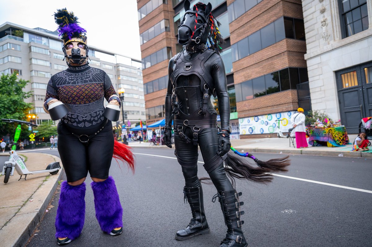 LOOK AT US SWISH! hey! this is important! LOOK AT THE SWISHING!

with @PonyDega, photo: @HyenaMaul 

#ponyplay #capitalpride #pride #CapitalPride2022  #CapitalPrideDC #kink