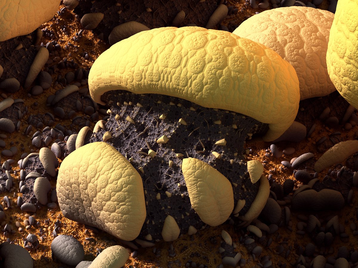 Today's 3D Fractal: Fungus/Mushroom 🍄 #CNFT Available for purchase on <a href="/Tokhun_io/">Tokhun.io</a>:

tokhun.io/marketplace/97… - 60ADA

#CNFT #Fractals #FractalArt #CNFTCommunity #CNFTdrop #Fractal #NFTart #NFTArtist #MB3D #Mandelbulb3D