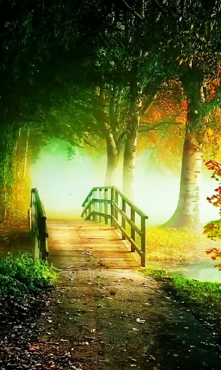 Good night...🌱🌱🌸🌸😍😍🌸🌸🌱🌱