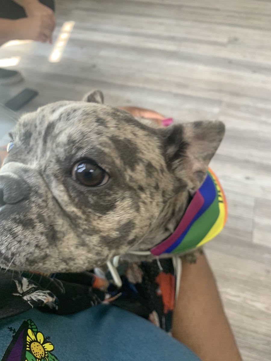 GordyCarmona's tweet photo. Representing @EqualityTexas in Frisco at the #GenderFREEHaircutClub Day event @ #AbstraktStudio.
I also quickly made a new friend named Mo who’s rocking her pronoun pin and giving the best kisses & cuddles.
#LGBTQIA+ #GenderAffirmingHaircut #DressCodeProject #Pride https://t.co/YaUfOYhrlr