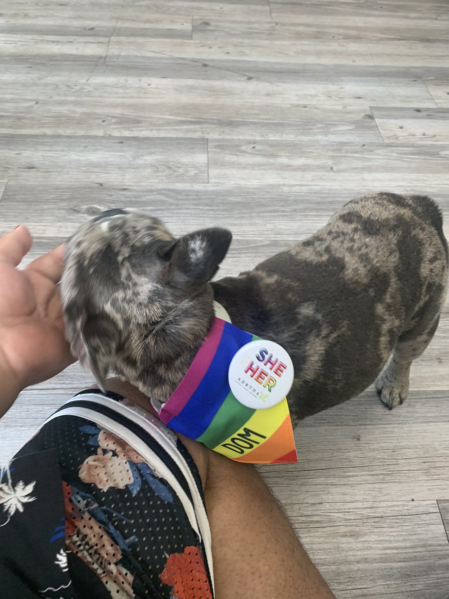 GordyCarmona's tweet photo. Representing @EqualityTexas in Frisco at the #GenderFREEHaircutClub Day event @ #AbstraktStudio.
I also quickly made a new friend named Mo who’s rocking her pronoun pin and giving the best kisses & cuddles.
#LGBTQIA+ #GenderAffirmingHaircut #DressCodeProject #Pride https://t.co/YaUfOYhrlr