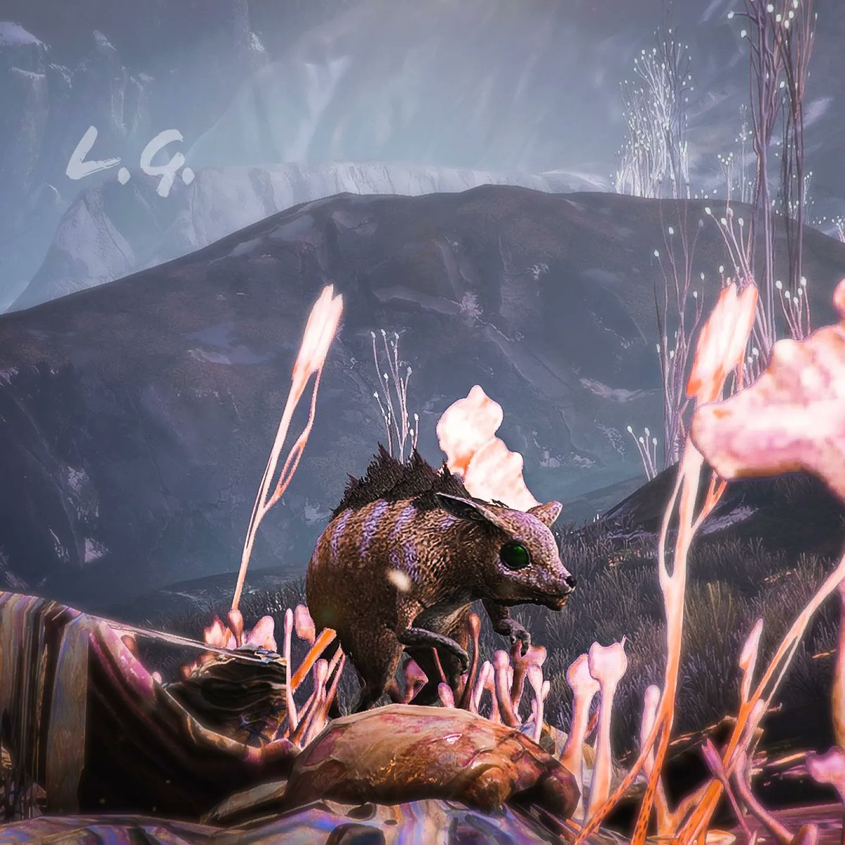 latryckx's tweet photo. Little thing ๐น - Probber Warframe
#Warframe #TennoCreate #warframecommunity #warframecaptura #warframeart #warframeps4 #warframeps5 #playstation #playwarframe #VirtualPhotography #vp #digitalart
#venus #orbvallis #animals #probber #wildlifephotography #wildlife
@PlayWarframe https://t.co/w6Uj3ahUur