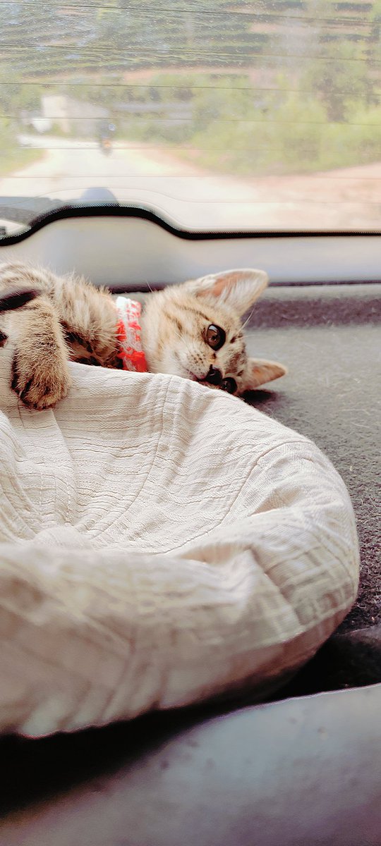 𝙰𝚟𝚎𝚛𝚢 𝚀𝚞𝚒𝚗𝚗 tweet media