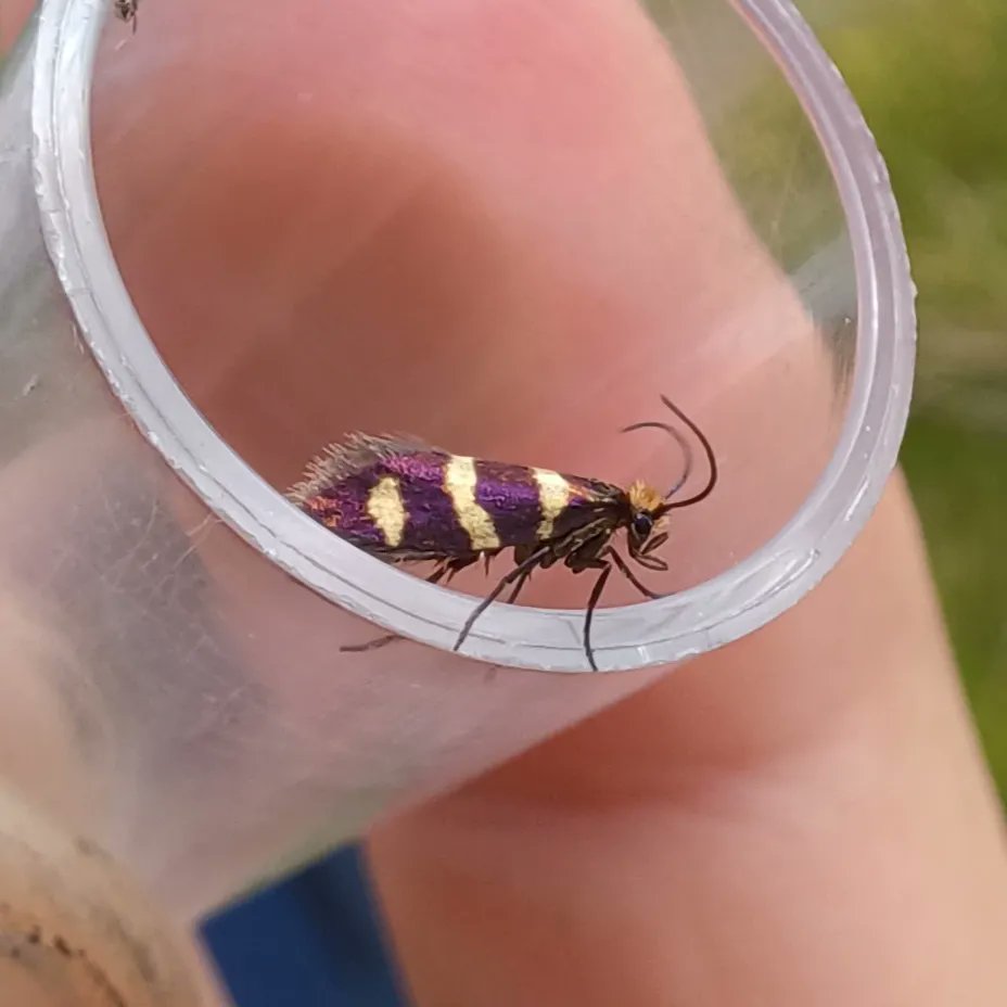 Ranger Toby tweet media