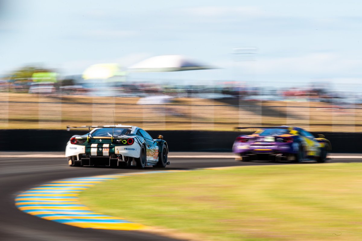 David Perel tweet media