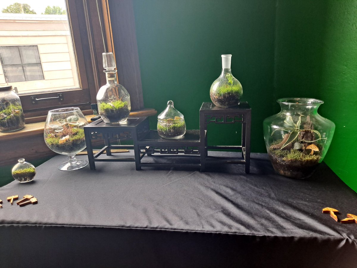 DarkPlaceStudio's tweet photo. Only a few minutes away from Uptown Art Hop here in #Athens Ohio. Come stop by!!
#plant #art #terrarium #SmallBusiness https://t.co/8Vgqq4sZCE