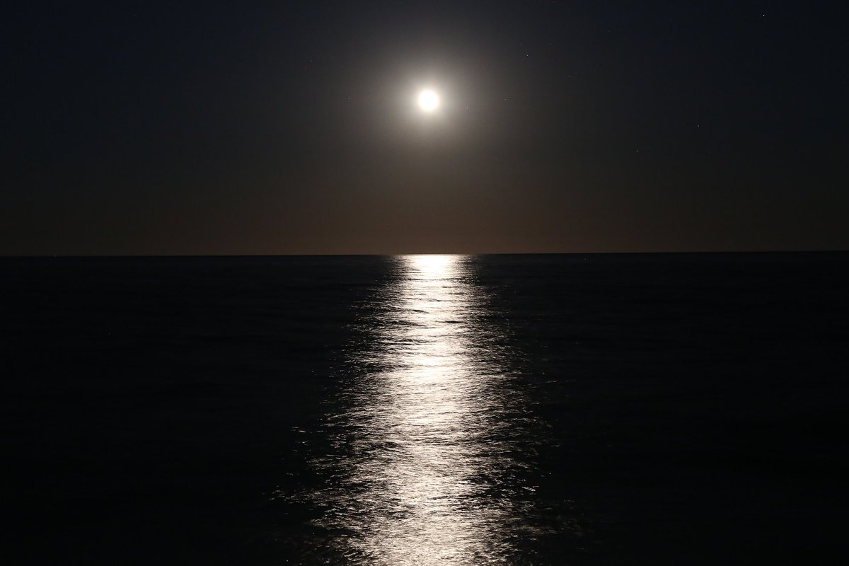 A MOONGLADE is a line of moonlight reflected on a body of water.