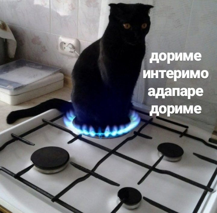 SubuTaida's tweet photo. 10 мл Новопассита, а я всё ещ5 злая псина, это что такое ааа https://t.co/c1eSqeBjU1