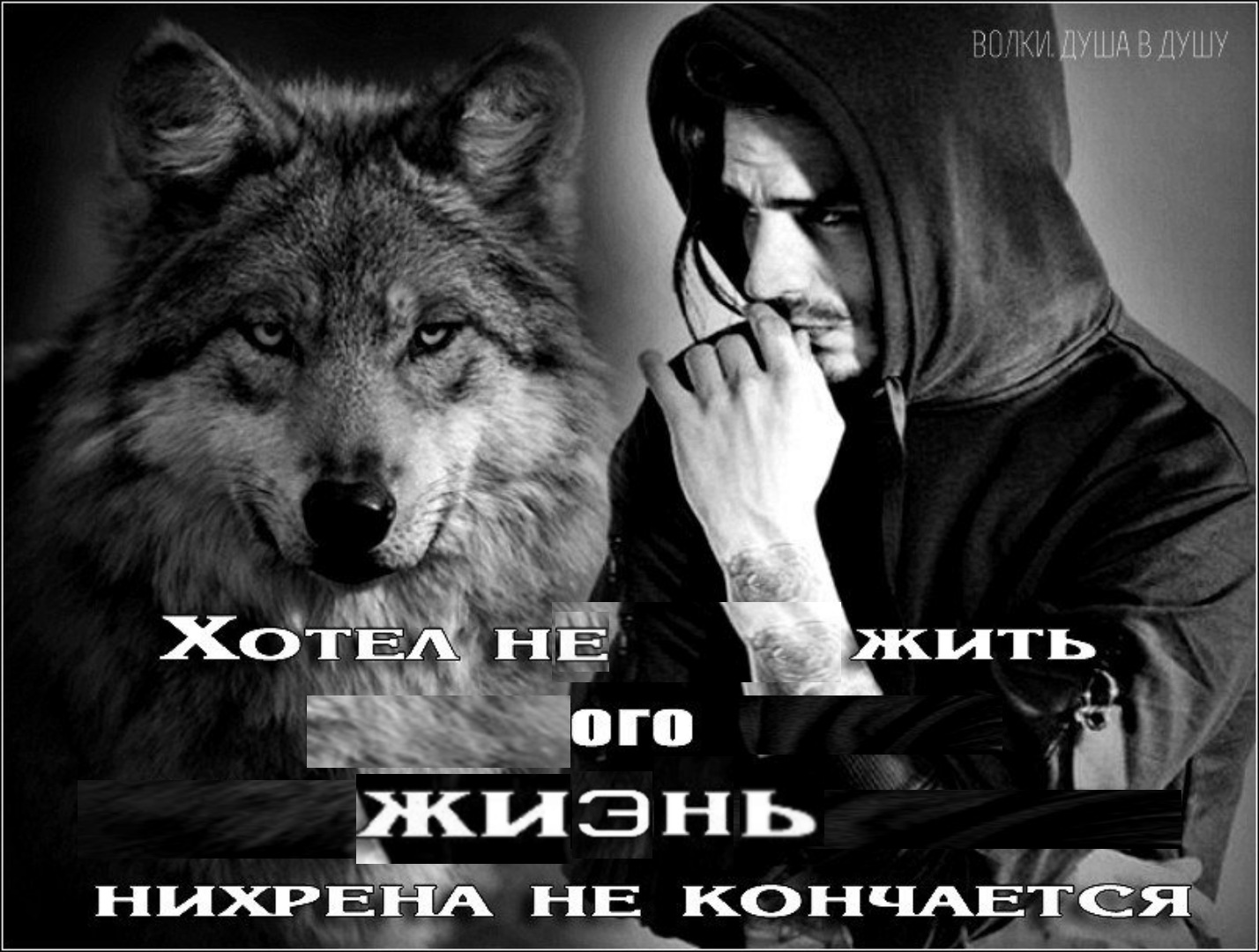 Статусы душа волка