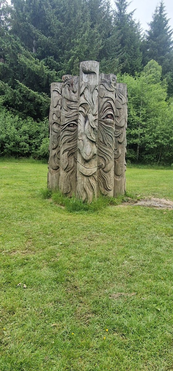 Found the great deku tree clearly blazed out of his mind today.