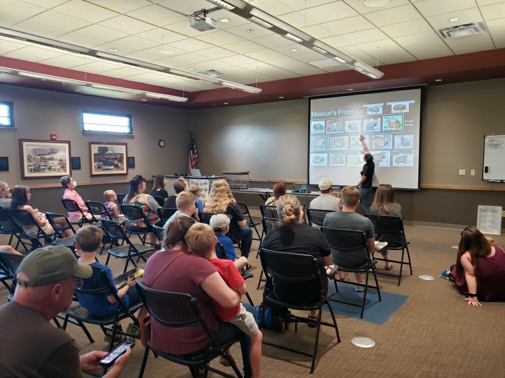 NewtFly's tweet image. Some pics from yesterday's Herp-O-Rama event. I hope it was fun for everyone who came. I myself learned that adult pythons are heavier than they look.

#Herps #AppliedLearning #Biology #Wildlife