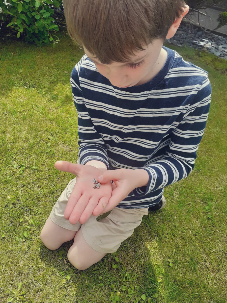 BeverleyHaigh1's tweet photo. @yr2melthamce J and his sunflower 🌻 https://t.co/9K7CH7W9eF