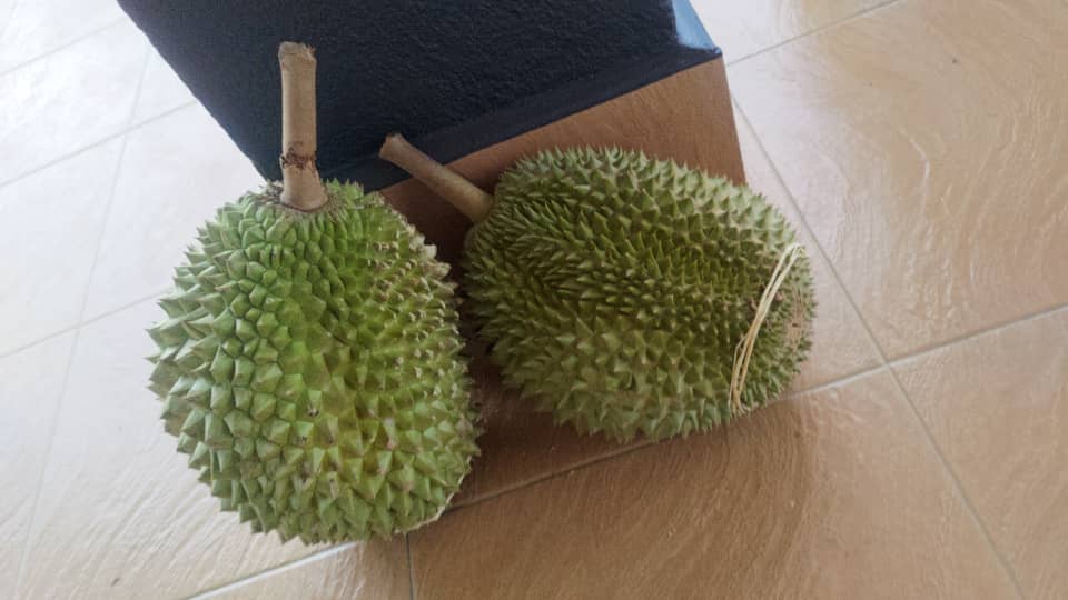 JustGray tweet media