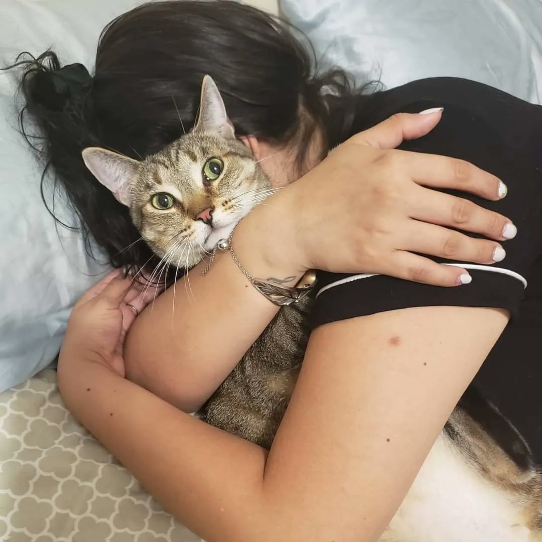 SarcasticArepa1's tweet photo. Groot "Help me!" @itismeowtime
Sometimes a mom''s love can hurt.. 😹 @shetothela
#caturday #catsofinstagram #catsofnyc #chonkycat #tabbycat #chonkycats #gingercat #littlblackcat #catbros #catbrothers #cats #cat #catstagram #catlife #instacat #meow #kitten #kittens #catoftheday https://t.co/bqg94uVoQA