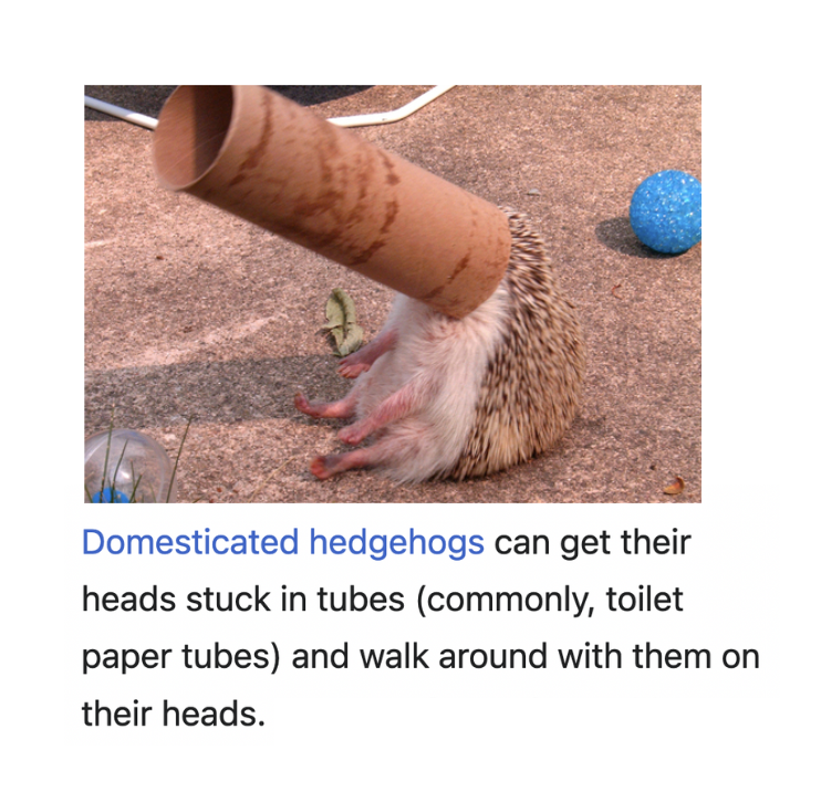 depthsofwiki's tweet image. 