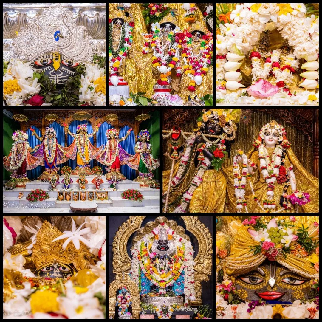 vrajaviharinis's tweet photo. 🤩😍DAILY DARSHAN😍🤩
(Iskcon Vrindavan)
(Iskcon Mayapur)
(Iskcon Pune)
(Iskcon Kolkata)
#lordkrishna #srimatiradharani #panchatatwa #jaijaganathdev #jaisubhadramaharani #jaibalaramdev #dailydarshan #auspicious #beauty #jaigaurnitai #jaigirirajbhagvan #jaisrinrishangadev #Iskcon https://t.co/VPGWdUCjj6