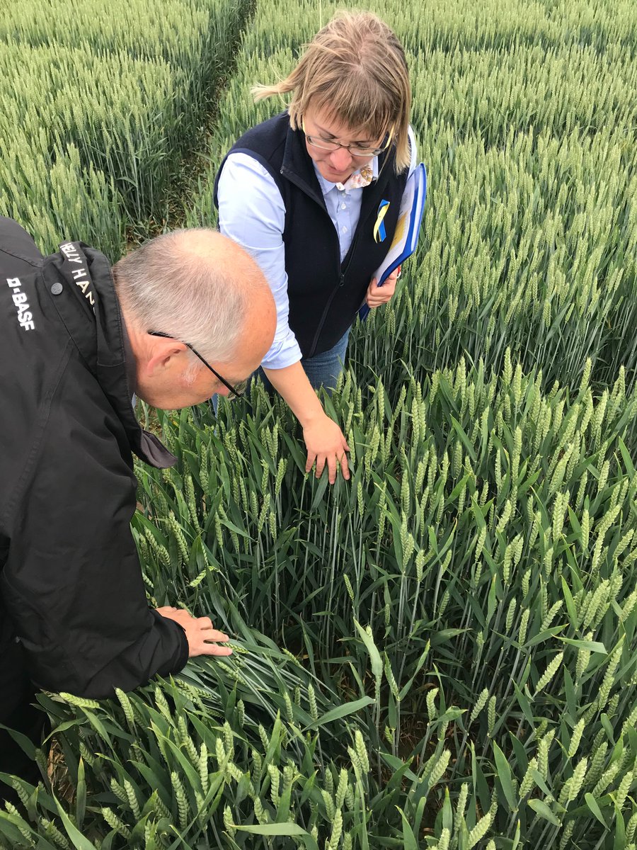 DirkVoeste's tweet photo. Field visits are always exciting, now after 2 years of COVID even more. This week, I had the chance to talk to David &amp; his son Richard on their farm at Rawcliffe Bridge - big thanks to @dikesmarshfarm &amp; @dnhinchliffe1! Stay tuned for our video. 
 
#ResponsibleAg #SustainableAg https://t.co/ewaFMP68ZG