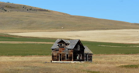 AnnyCow's tweet photo. Hallo @ds106dc I cannot find Moertellado. #ds106 #tdc3804 
Moertellado is a ranch around here. But no mention of it is the Gogle. My guess is it has a connection with cheese? https://t.co/QsPDOVQORG