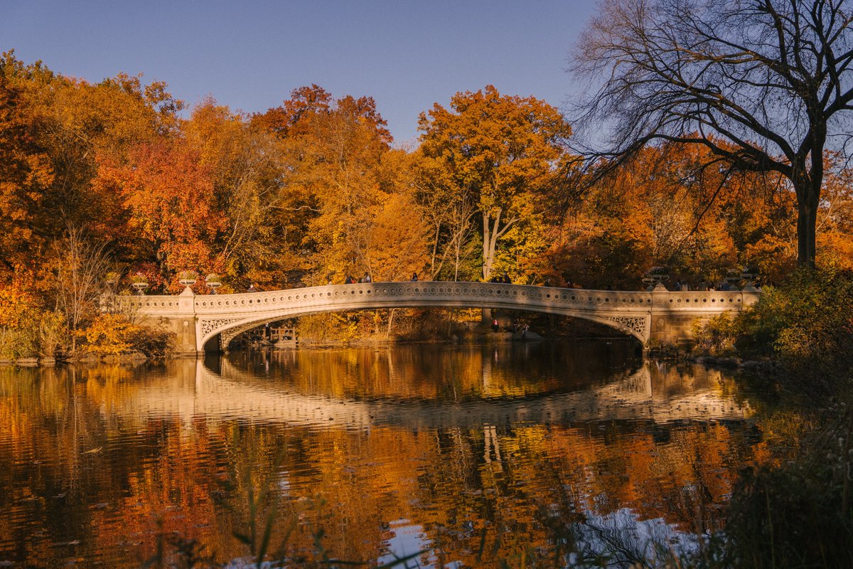 s_marano's tweet photo. After Hour Blues" by S.A. Marano
- Available on Amazon Books &amp; Kindle
- https://t.co/lWLGF35nUk

"Johnny walked along the Bow Bridge in Central Park after visiting with Ellie. He couldn't wrap his head around what she did." https://t.co/VsQFRBCT60